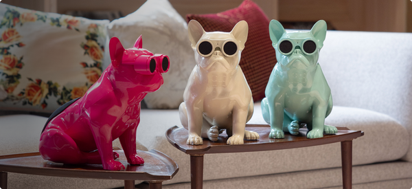 JarreBull x IF Audio: A New Wave of Color and Sound