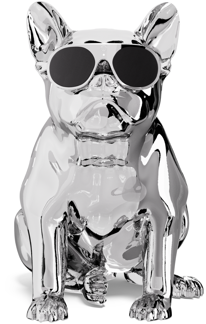 Chrome / Silver